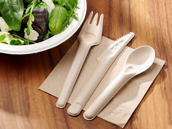Bagasse cutlery knives, forks and spoons