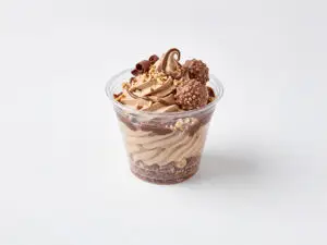 9oz plastic sundae pot of ice cream