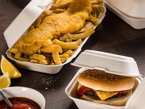 Bagasse Hinged Food Boxes - Sample Pack