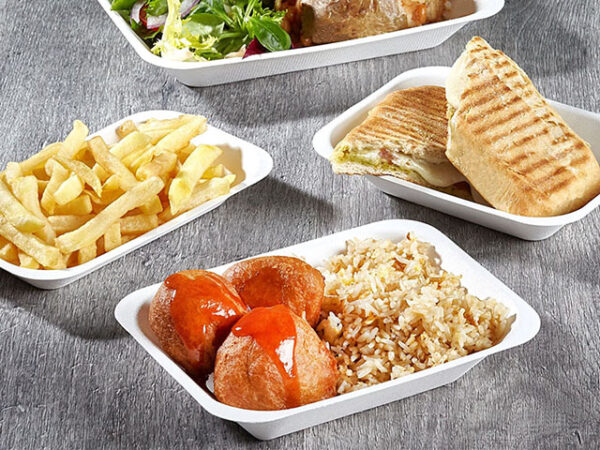 Bagasse food trays or bagasse chip trays
