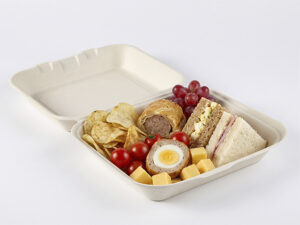 large bagasse hinged food box used for takeaway meal