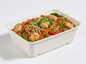 large bagasse takeaway rectangular container for takeaway food