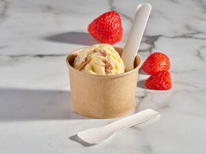 paper disposable ice cream spades