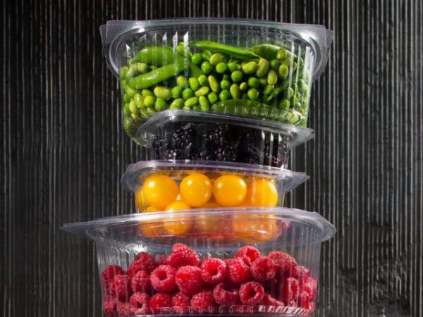 rPET Recycled Plastic Salad Containers with Hinged Lids - Sample Pack - Image 2