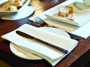 plain white airlaid paper napkins