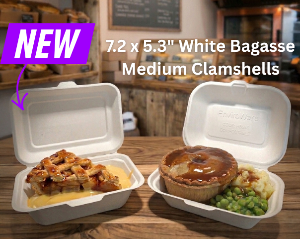 New 7x5 inch bagasse food boxes